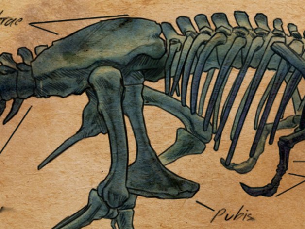 Ifun 3D Resin & 3D printer tweet media