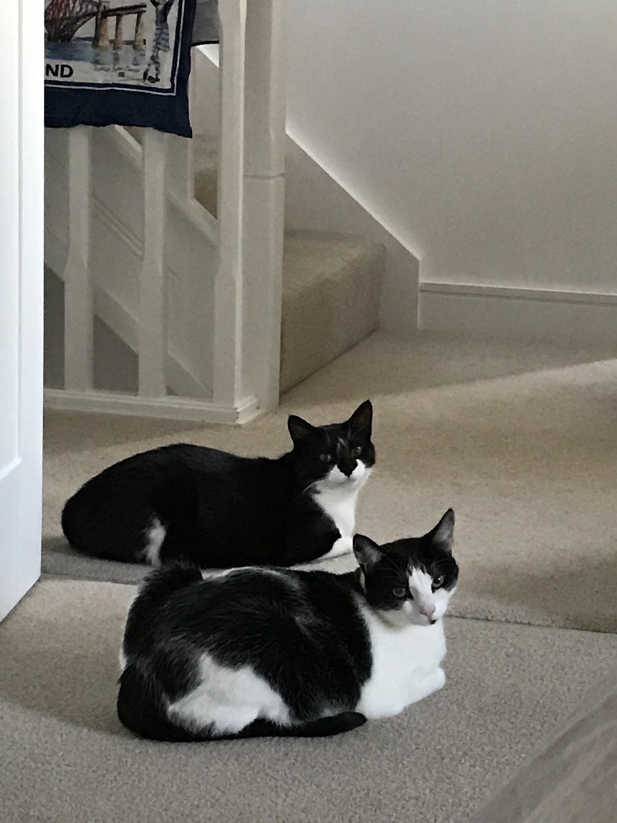 K_Dev77's tweet photo. @SusanCalman https://t.co/kP8wflrrSQ