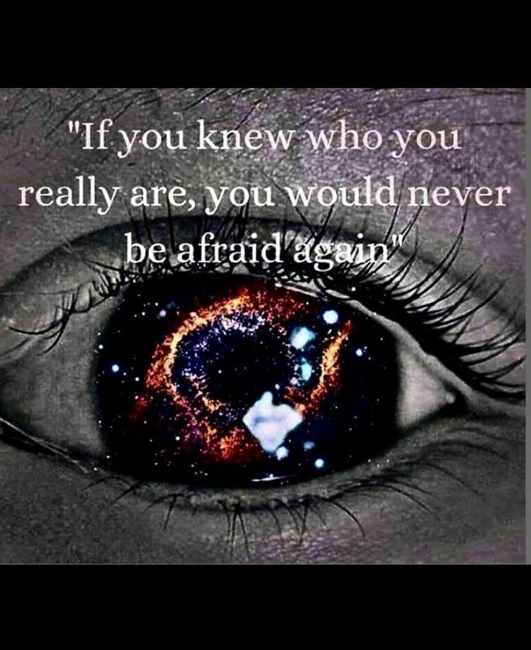 ZJitzzz's tweet photo. De lens waar je doorheen kijkt verandert

https://t.co/eoRRZq3ziU

Je voelt je losgekoppeld van bepaalde vrienden die je eerder had.

#zielen_familie 
#ziel_versus_ego 
#afscheiding 
#eindtijd 
#het_kaf_word_van_het_koren_gescheiden 
#zoek_jezelf 
#zielsmissie_volgen 
#inzicht https://t.co/Da06X07TdJ