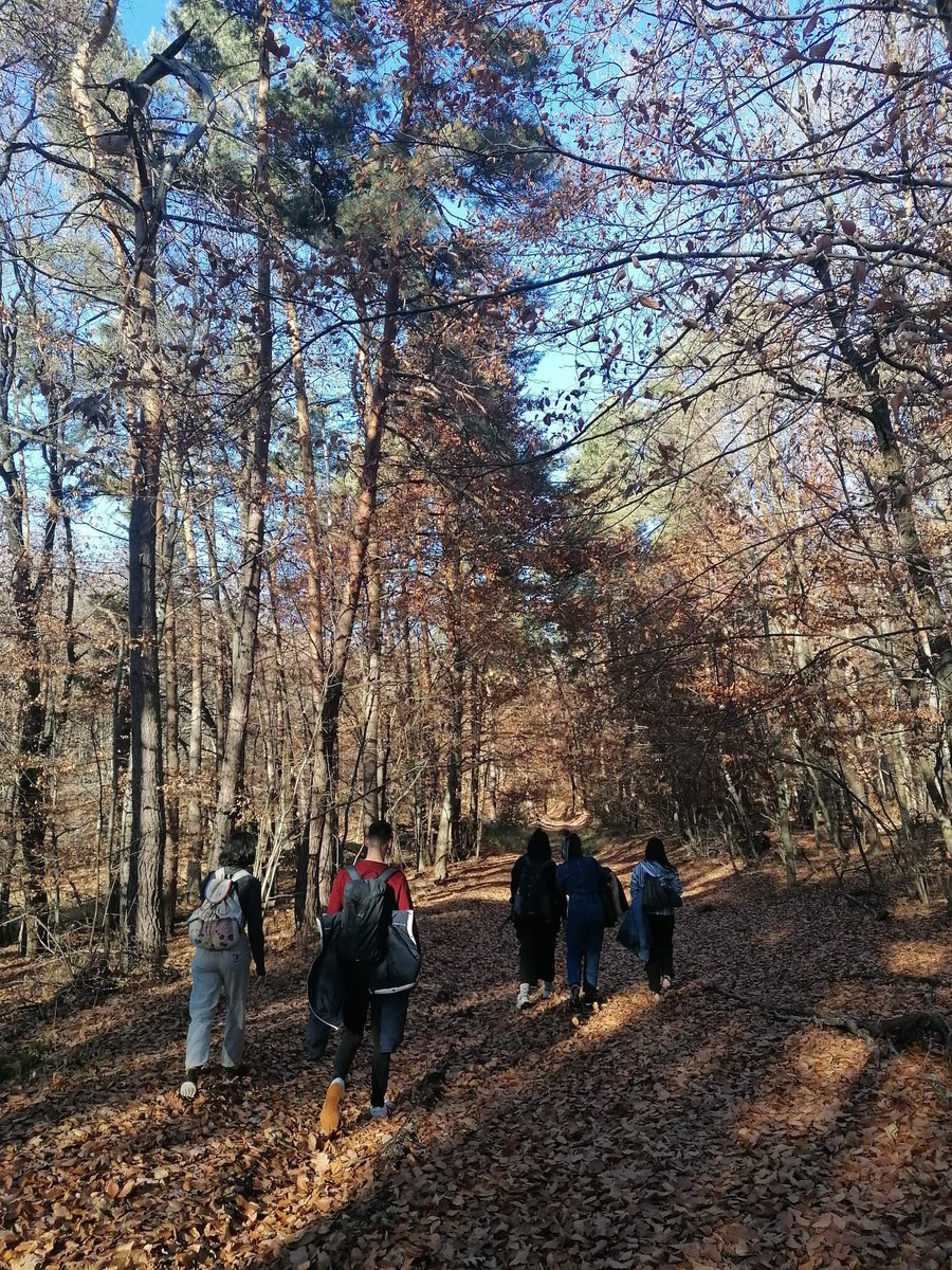 eesterrrr's tweet photo. Nord d’Hungria pt.2 https://t.co/f347Z1DrHZ