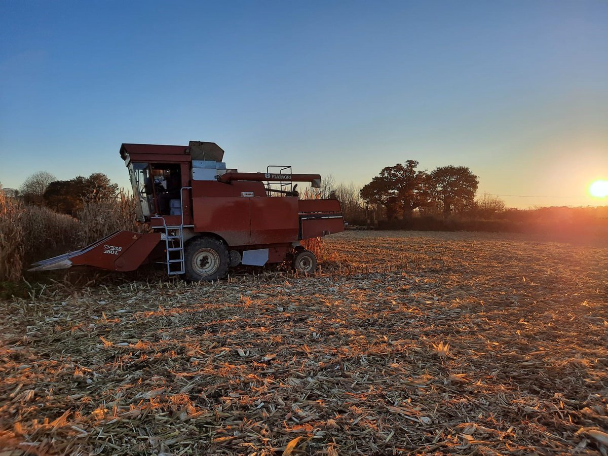 Au coeur d'ADVANTA® tweet media