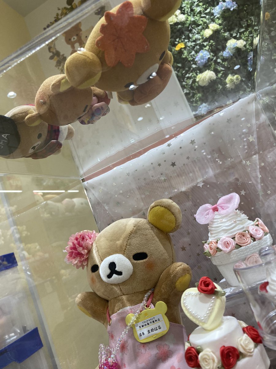 86 Off 非売品 リラックマストア ノベルティ缶バッジ 京都四条河原町店店長 まめはる Emergencyvetclinicofmagee Com
