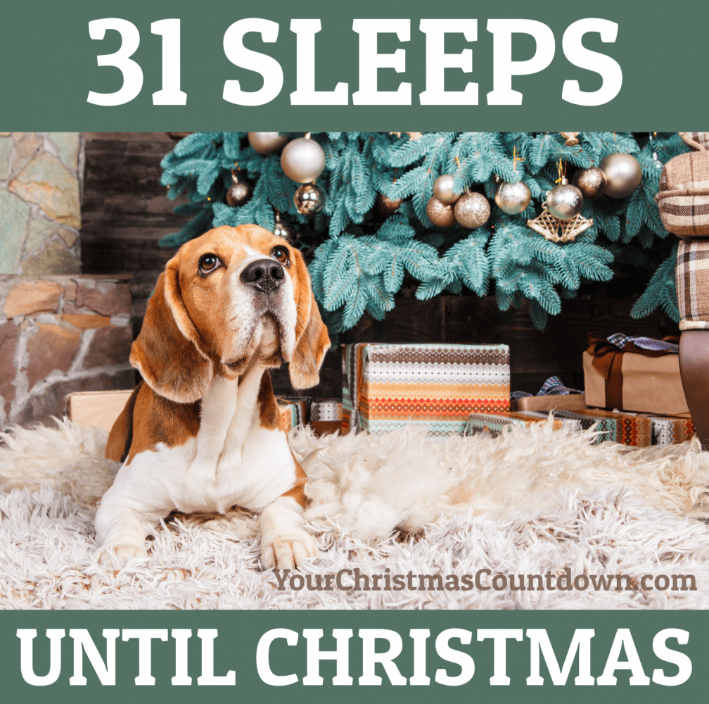 christmas_clock's tweet photo. 31 SLEEPS UNTIL #CHRISTMAS!
 🕒 https://t.co/08kJVAWqc2 🎄🎅 https://t.co/luXWSnRTVN