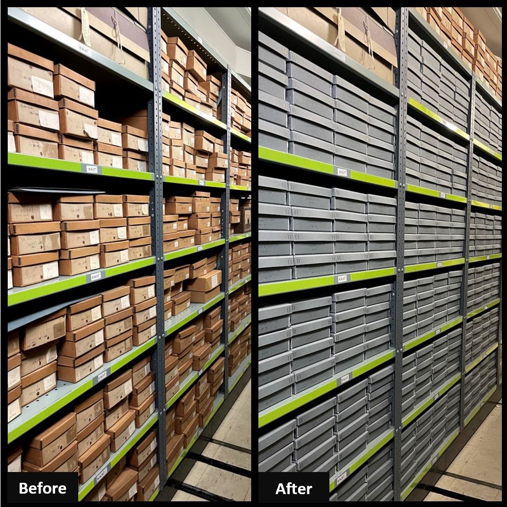 The repackaging of the contents of the Bloom boxes has been completed in time for an #ArchiveShelfie for #EYAWeek! Almost 5000 documents from the Greville Family of Warwick Castle collection have been re-boxed! 

#WarwickCastleWednesday #ExploreYourArchive #ExploreYourArchiveWeek