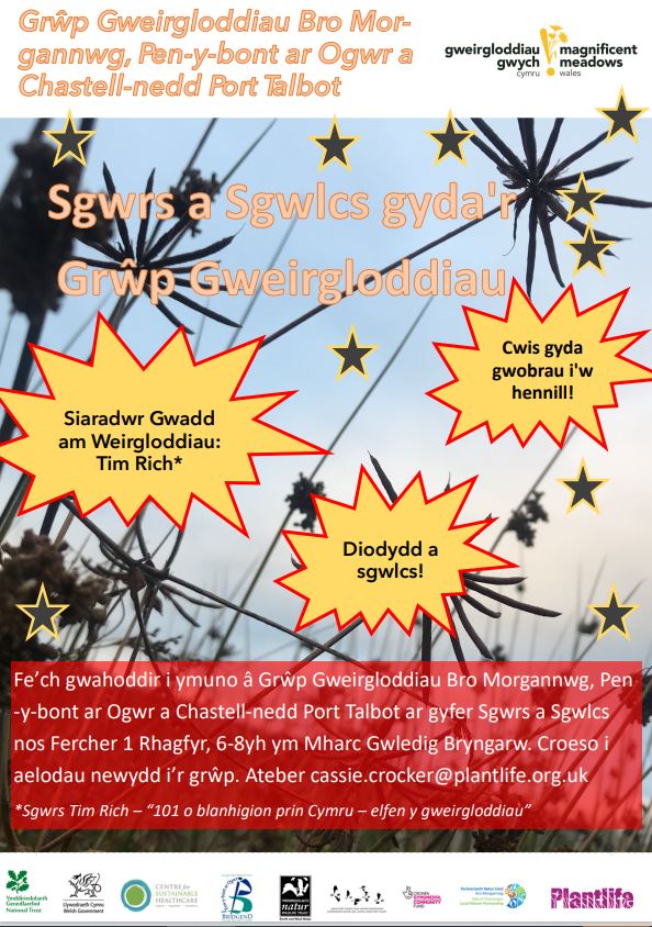 PlantlifeCymru's tweet photo. Join @PlantlifeCymru 🎄 Merry Meadow Mingle ☃️ &amp; raise a festive toast with the Vale of Glamorgan, Bridgend &amp; Neath Port Talbot Meadow Group on Wednesday 1 December, 6-8pm at @BryngarwPark. New members to the group are very welcome! Please R.S.V.P: cassie.crocker@plantlife.org.uk https://t.co/Q5Ytgzl94k