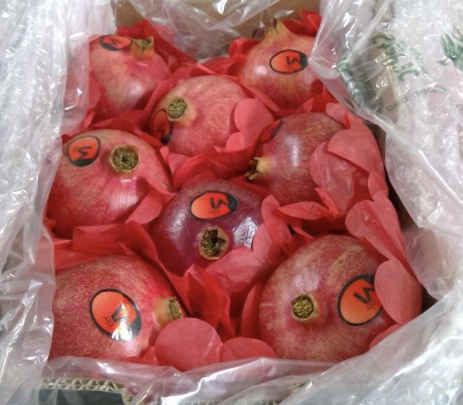 Pacific Produce tweet media