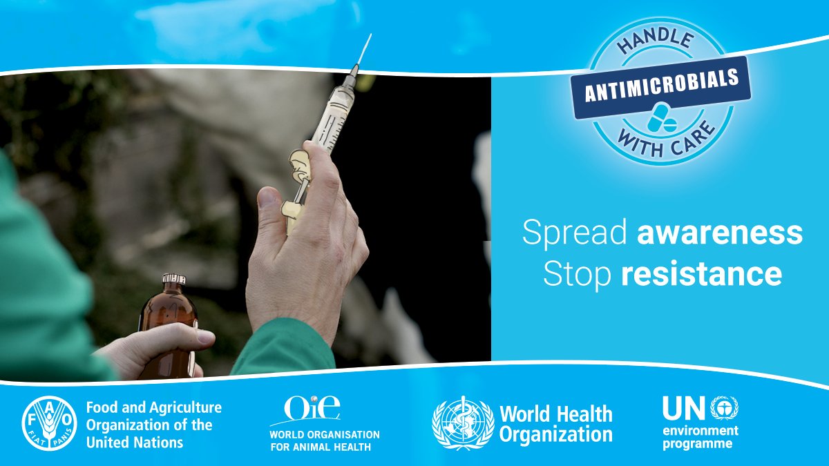 Using 💉 antimicrobials 💉 responsibly and prudently in animal production = protecting animal health and welfare = providing safe food for the 🌎 world 🌍.

#WAAW2021 #OneHealth