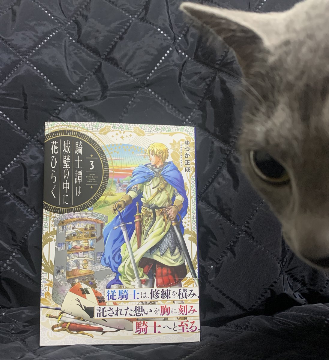 本日発売の『騎士譚は城壁の中に花ひらく』3巻に、いけ好かなさそうに見えてまあまあ優しそうなおっさんとして吉田輝和が登場してるぞ! 
