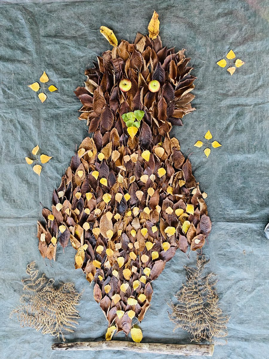 🦉 leaf art - year 1 &amp; 2
