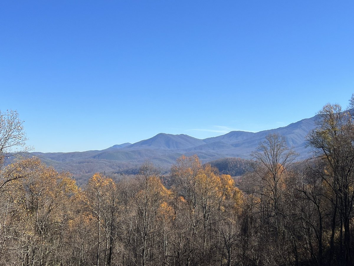 AP_DHPBC's tweet photo. So thankful for this week off to recharge and relax! #TNvacation #Thanksgiving2021 #cabinfun https://t.co/omydHHxBko
