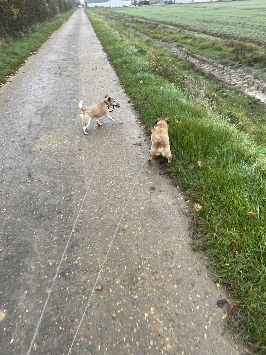 GilesBravery's tweet photo. Daddy’s in charge while mum works https://t.co/beKrBYlVSp