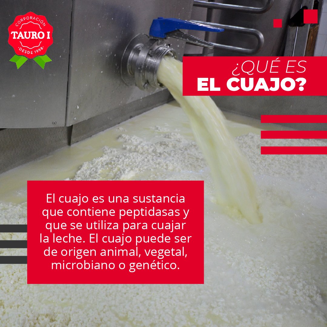 taurocorp's tweet photo. Nuestro producto estrella es el cuajo, que se usa desde tiempos antiguos para cuajar la leche.

Cuando se agrega a la leche, el cuajo crea una reacción en estas sustancias (enzimas) y la vuelve sólida. 

#CuajosTauro #cuajo #Leche #productovenezolano #agropecuarias https://t.co/C9Isc5CY9i