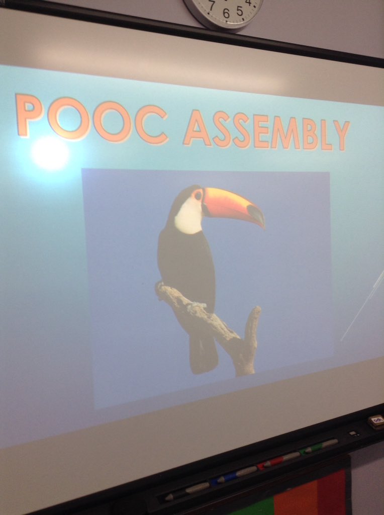 greenleasps's tweet photo. Look at what is happening in Toucan class now... 😁🙌🏻👏🏻🌟🌟 #personofoutstandingcharacter #goldchild #schoolrules #schoolvalues #rewards #achievement #acknowledgement https://t.co/SNdAf4Xhqo