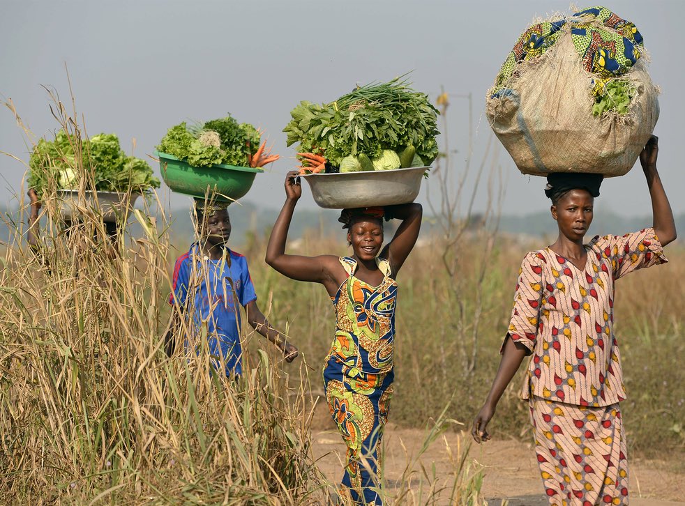 IamMzilikazi's tweet photo. "If we aren't being taught how to grow our own food, take care of our families, how to live without the need for governments, banks and corporations as our ancestors once did; then we aren't being educated; we're being indoctrinated to be dependent and subservient to the system.” https://t.co/UNq6AvCcR5