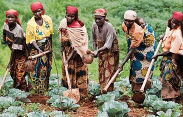 IamMzilikazi's tweet photo. "If we aren't being taught how to grow our own food, take care of our families, how to live without the need for governments, banks and corporations as our ancestors once did; then we aren't being educated; we're being indoctrinated to be dependent and subservient to the system.” https://t.co/UNq6AvCcR5