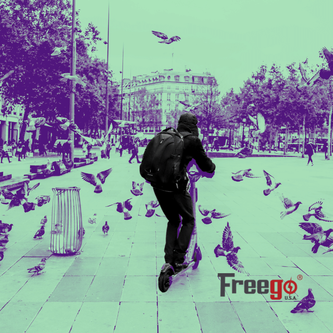 FreegoUS's tweet photo. In times where #COP26 has new challenges for #ClimateCrisis Freego is a friendly alternative for #Mobility

Electric Vehicles, eScooters, Ebikes, and Electric Skateboards. Get yours in this holiday season, and become part of the solution!

#ElectricVehicles #COP26 #RideWithFreego https://t.co/URFQK10HZh