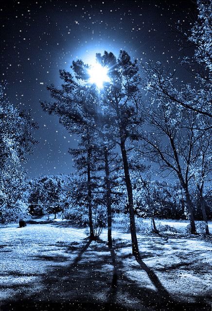 ✨✨おやすみなさい✨✨
✨✨     Good night    ✨✨