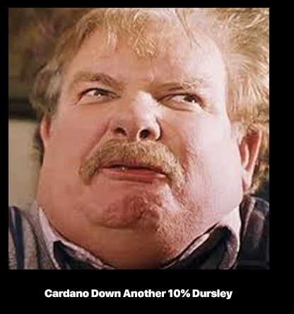 Alex Becker 🍊🏆🥇 tweet media