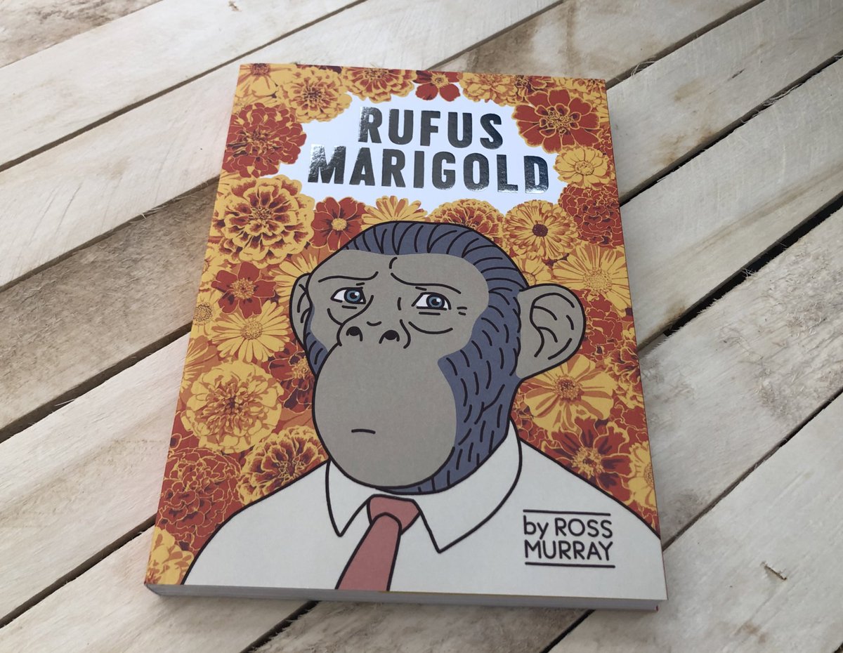 Swallowtailprin's tweet image. Graphic novel by RossMurray.com printed and bound for @HonestPublisher The story of socially anxious office-working ape Rufus Marigold. #printedbyswalliwtail.