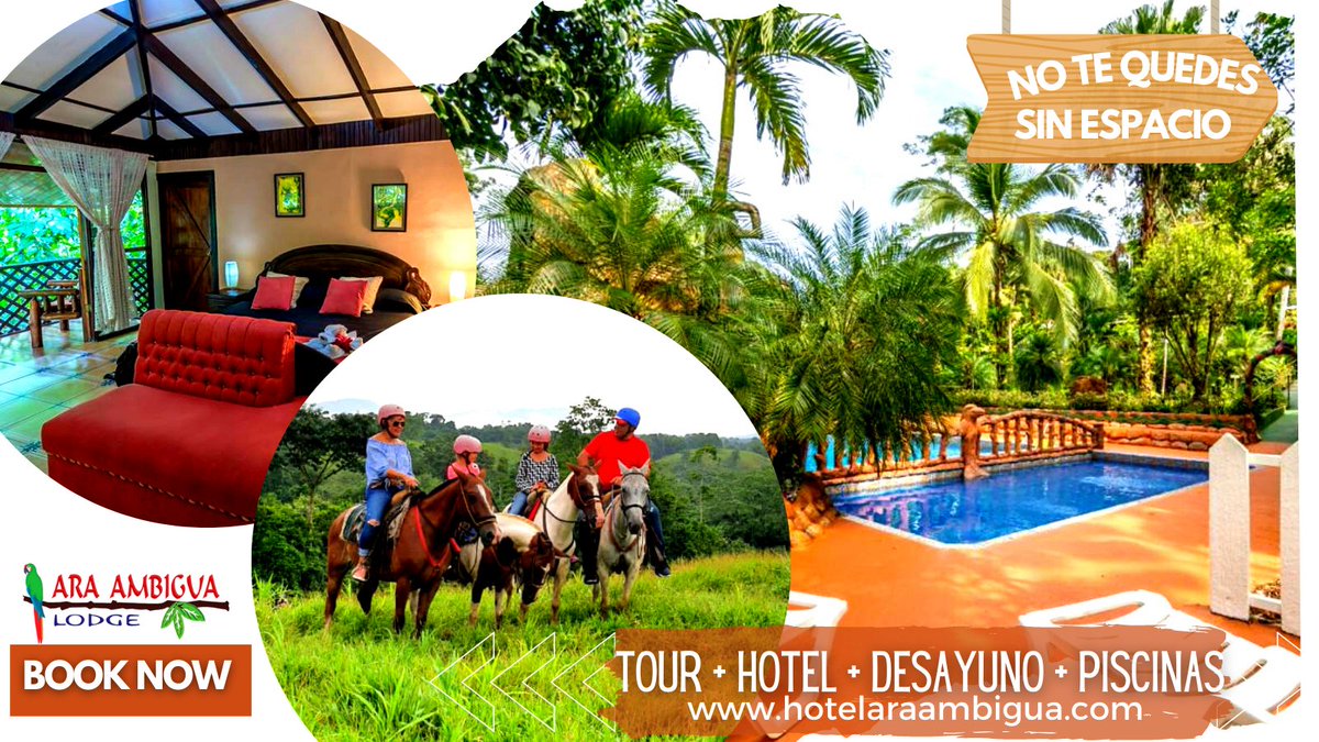 𝐏𝐚𝐢𝐬𝐚𝐣𝐞𝐬 𝐲 𝐥𝐮𝐠𝐚𝐫𝐞𝐬 𝐞𝐬𝐜𝐞𝐧𝐨𝐠𝐫á𝐟𝐢𝐜𝐨𝐬 𝐦𝐚𝐫𝐚𝐯𝐢𝐥𝐥𝐨𝐬𝐨𝐬!!
ＥＸＣＵＲＳＩＯＮＥＳ ＡＬ ＡＩＲＥ ＬＩＢＲＥ!
𝐏𝐚𝐬𝐞𝐨𝐬 𝐚 𝐜𝐚𝐛𝐚𝐥𝐥𝐨 + 𝐇𝐨𝐭𝐞𝐥 + 𝐃𝐞𝐬𝐚𝐲𝐮𝐧𝐨 + 𝐏𝐢𝐬𝐜𝐢𝐧𝐚𝐬
👉 wa.me/50689736910
🌐 hotelaraambigua.com