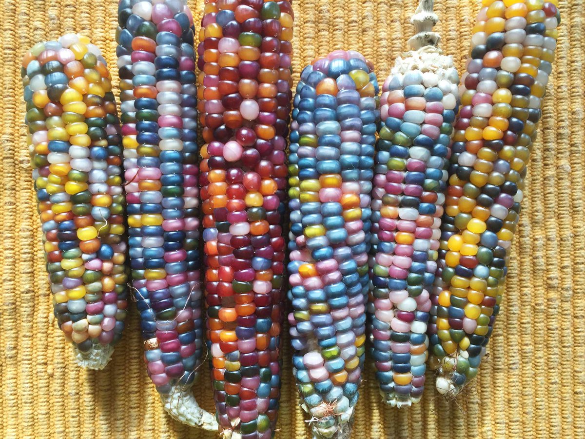 @Heurista tweet media