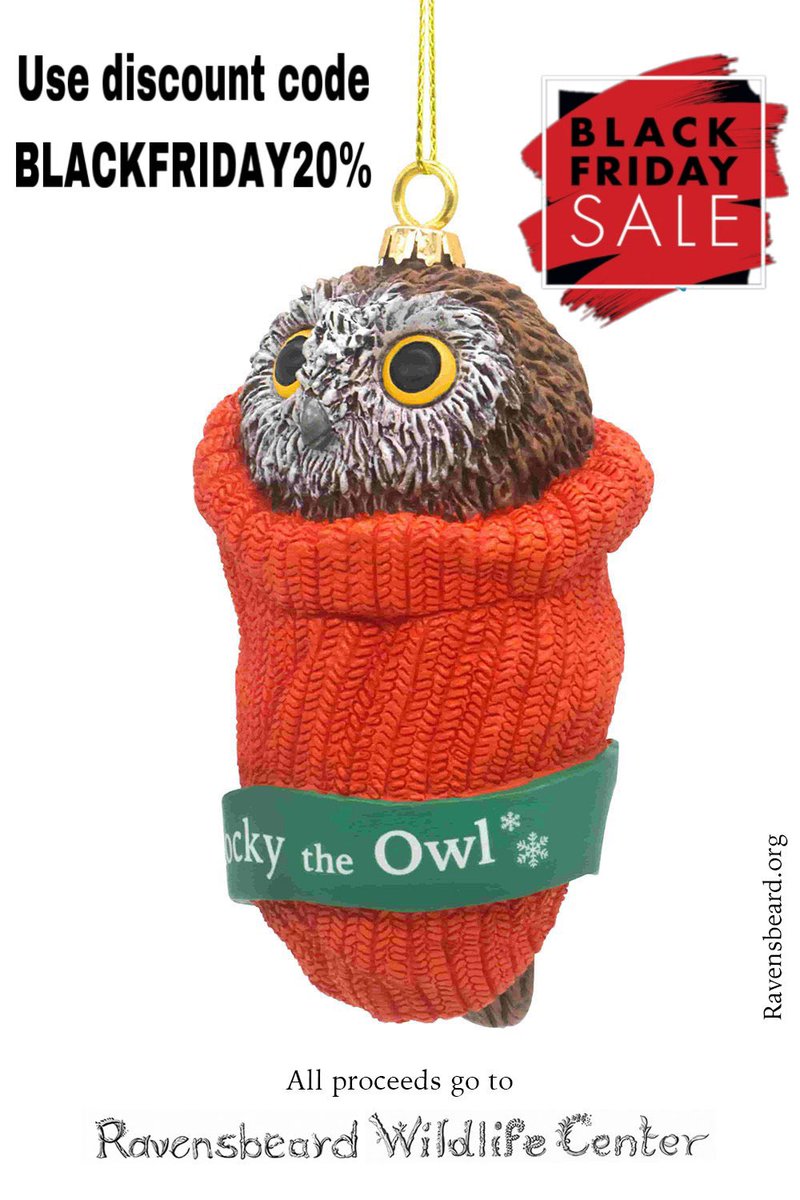 Put a little owl in your tree this year. All proceeds go to rehabilitating injured and orphaned wild birds. Black Friday sale starts now! Use this link and the code BLACKFRIDAY20% to get 20% off your order of a Rocky the Owl ornament now through Sunday: tinyurl.com/55455un4