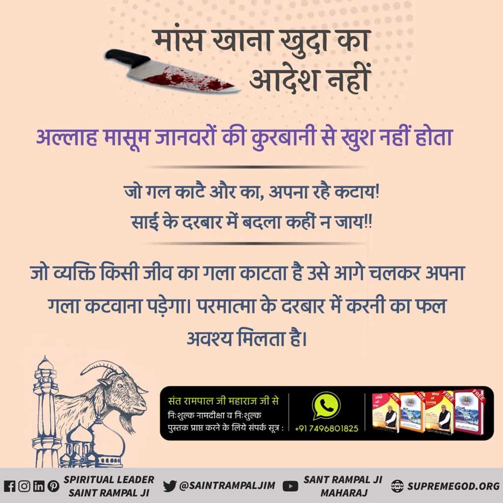 #MeatEatersViolate_LawOfGod

 गरीब :-
जीव हिंसा जो करते हैं, या आगे क्या पाप। 
कंटक जुनी जिहान में, सिंह भेड़िया और सांप।।
जो जीव हिंसा करते हैं उससे बड़ा पाप नहीं है। जीव हत्या करने वाले वे करोड़ों जन्म शेर, भेड़िया और साँप के पाते हैं।
