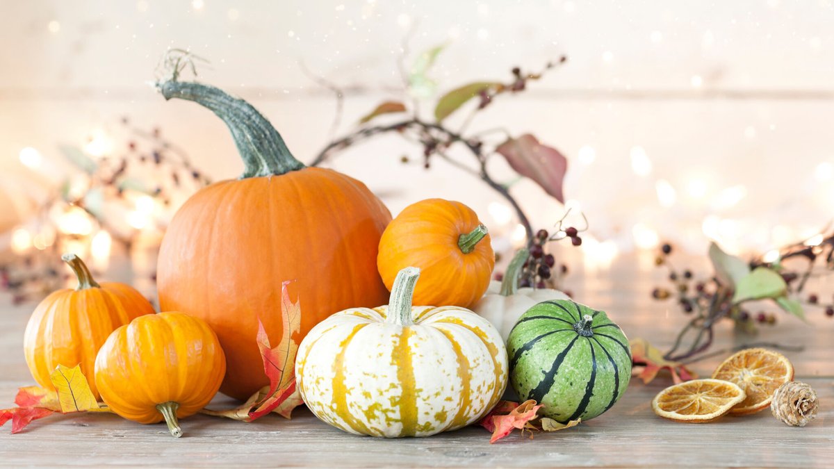 In search of Thanksgiving decor that won’t break the bank, end up as landfill or take up storage after the holiday? O's blog offers simple, sustainable, stunning ways to transform your home for the holidays. Happy Thanksgiving! Enjoy. ooliveoil.com/blog
#thanksgivingdecor