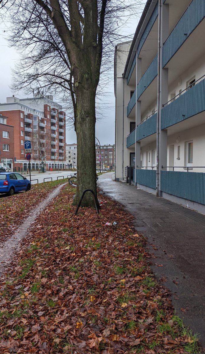 Eckstein, Eckstein, alles muss versteckt sein. Hamburg/Horn #einkaufswagenkunst <a href="/Wagerlkunst/">Einkaufswagenkunst</a>