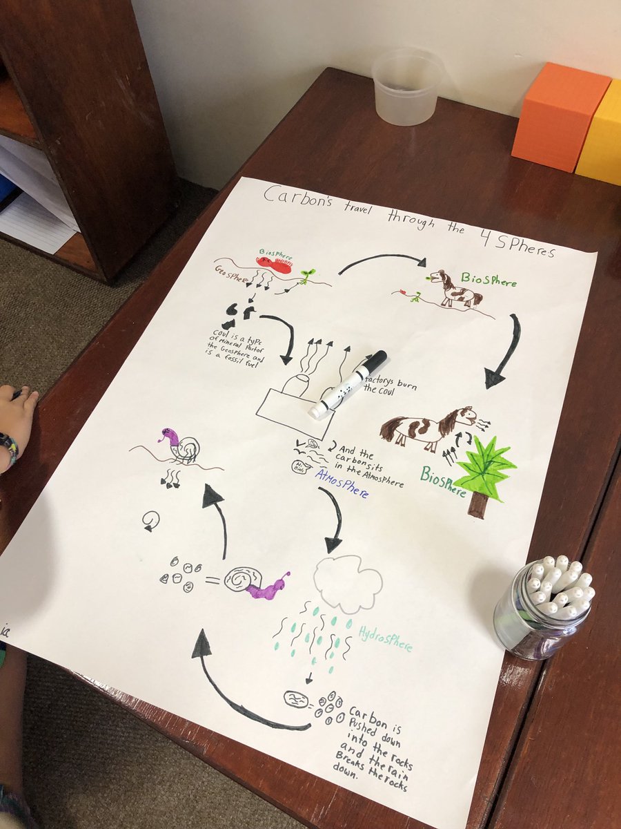 Kalley Hoke tweet media