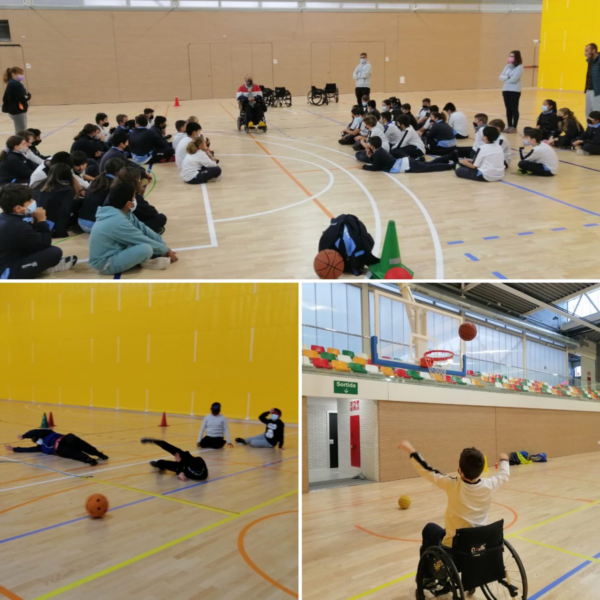 Consell Esportiu del Baix Llobregat tweet media