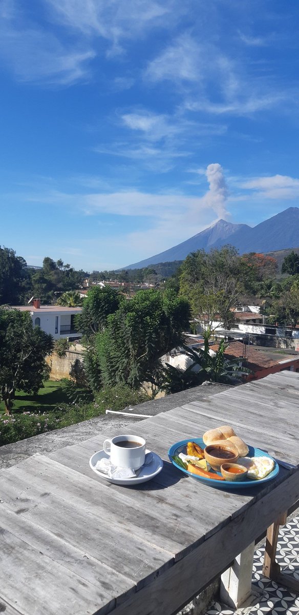 גיל ליטמן tweet media