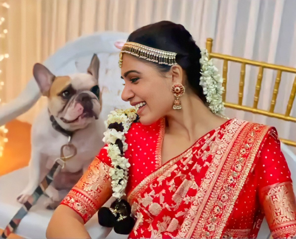SamanthaAdmirer's tweet photo. True Love!💞🥰

Happy' Burday Hash 🐕
@Samanthaprabhu2 💛 https://t.co/hUpPwzGKkR