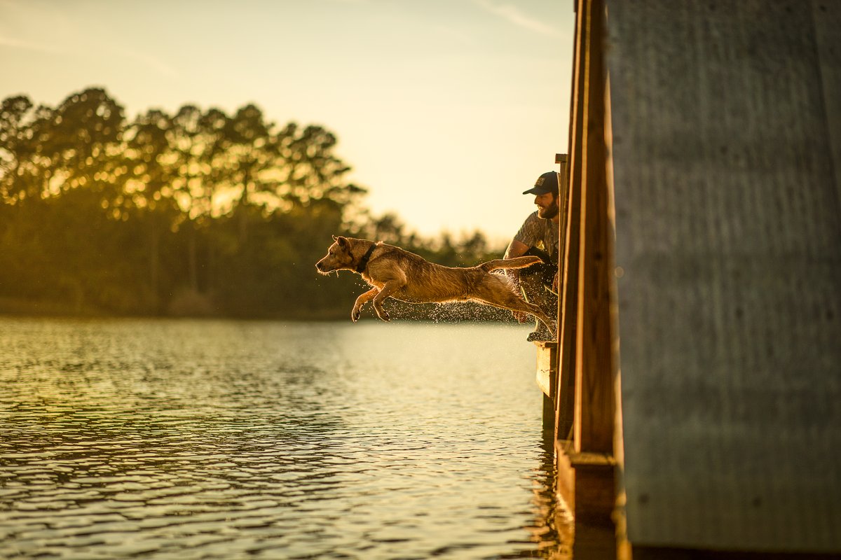 Gunner_Kennels's tweet photo. Preview of our crew diving into the Thanksgiving spread tomorrow — here's to a great holiday shared with the ones you love. | https://t.co/vJRwfKHQsB
Photo: Mossy Oak Kennels
#GunnerDogs https://t.co/aN8PoZJezu