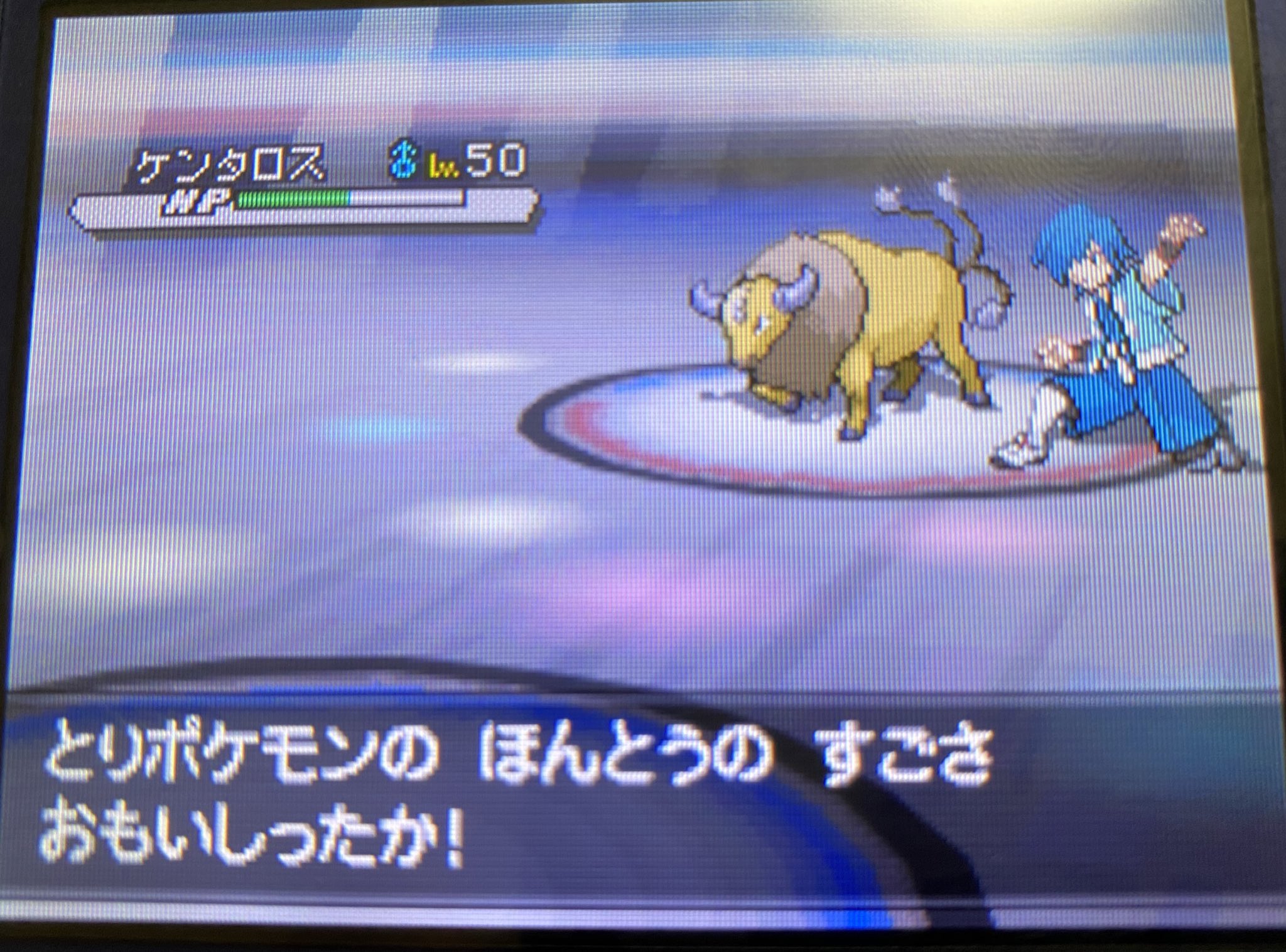 ルーチェ Ruche Knight Twitter