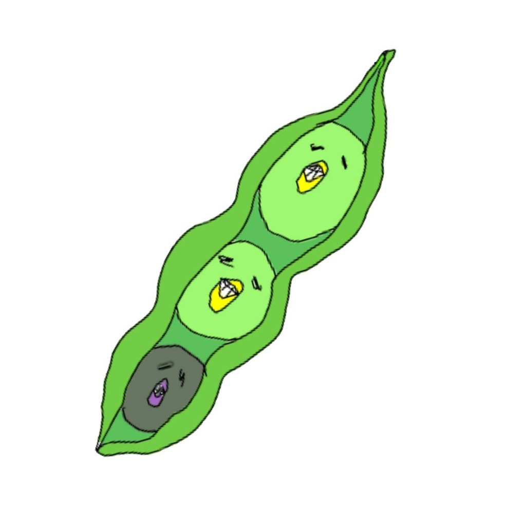 くちばし くちばし 付きの 枝豆 ですㄟ ʚ ㄏ 今日も１日お疲れ様でした ビールのつまみにいかがですか 鳥 イラスト好き シュール きもい おもしろい かわいい 絵描きさんと繋がりたい 絵 イラスト 動物 フォロー返し ラインスタンプ