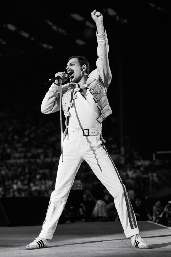 ItsTheMG's tweet photo. 30 years ago on this day, we lost arguably the greatest showman of all time, Freddie Mercury. Please take this as an opportunity to celebrate his life. RIP and fly high up there. 
#FreddieMercury30 https://t.co/Cf1CD4ggLl