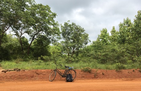 Green_Geog's tweet photo. 10/ Something that wasn't clear-cut was whether corridors are seen as 'natural' or not 🌿 This ambivalence cut across all 3 factors. This has implications for how #connectivityconservation is understood and practiced by cons decisionmakers, and so warrants further investigation. https://t.co/bbNdMmaMk7
