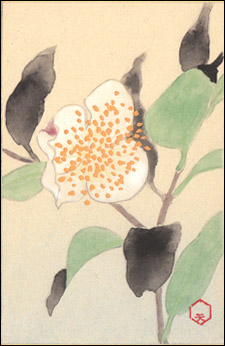 日本の誕生花 Tanjyouka Twitter