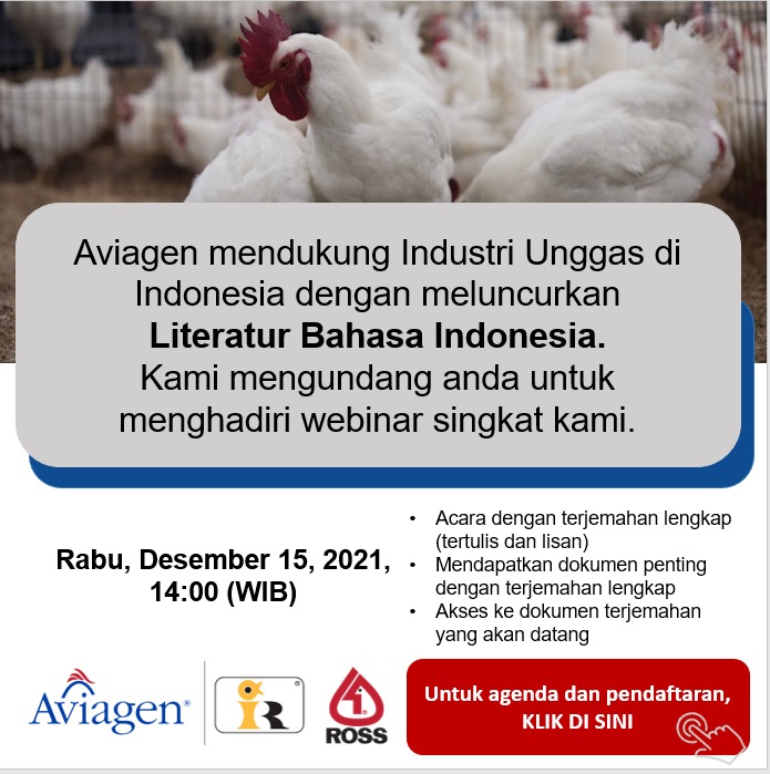 460 Contoh Gambar Unggas HD