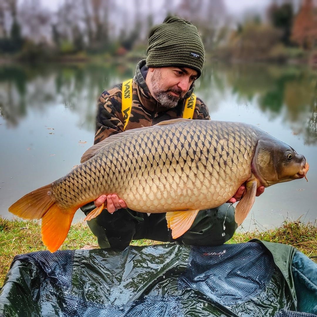 Autumn Common 🍂🍂
Simone Carpangler
#carp #fishing