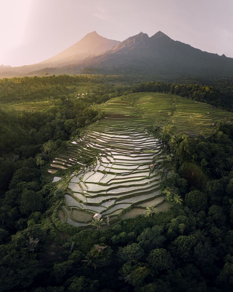 wonderfulid's tweet photo. Soothe your eyes with this enchanting view of the #TetebatuVillage, a peaceful #village located in the foothills of #MountRinjani, #Lombok, #WestNusaTenggara. What do you love the most about Indonesian villages? Tell us below.

📸IG: britta_brecht

#WonderfulIndonesia https://t.co/YNLKvpYbhH