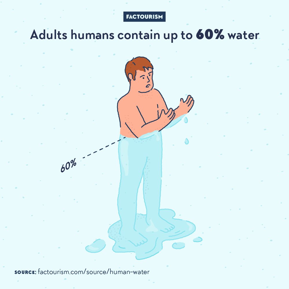 Factourism tweet media