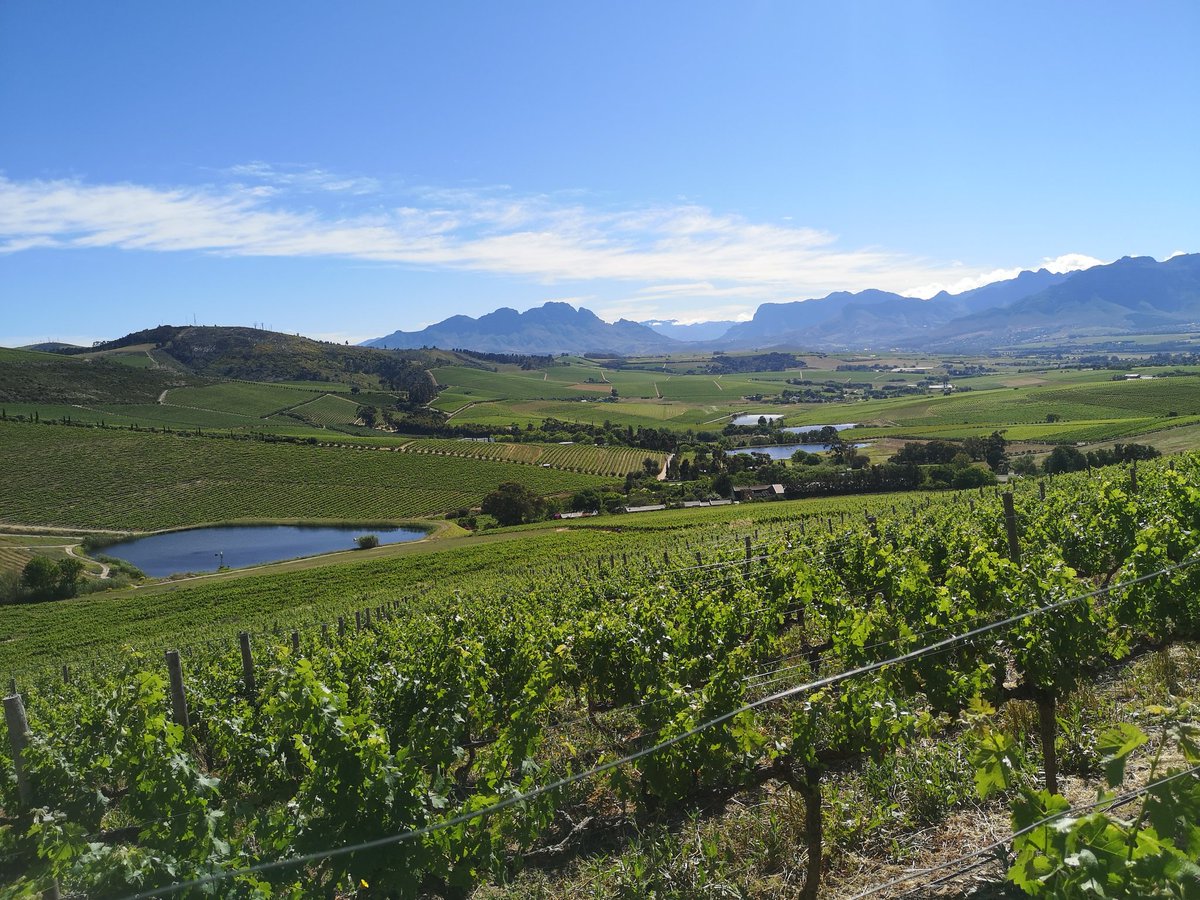 vuurtoring's tweet photo. What an incredible evening it was! Thank you @Jordan_Wines for hosting another @runventures event!

#Runventures #activeStellenbosch https://t.co/BjgxwZfEDC