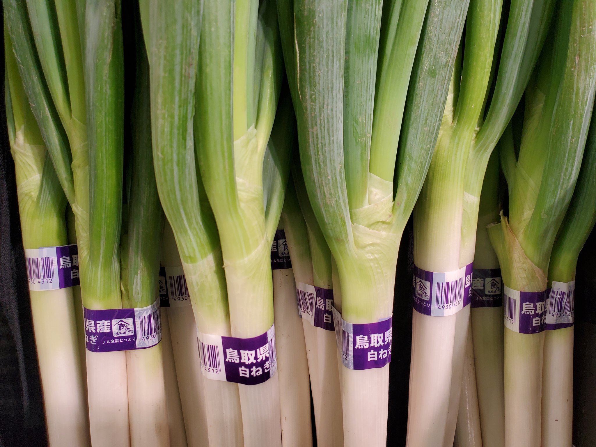 青髪のテツ 野菜のプロ 白ネギの選び方 白ネギの糖度は高く 甘いメロンと同程度 さらに葉の中にある白いネバネバが多い個体は特に甘みが強い 寒さにあたると生成される物質で セルロースなどの糖が主成分です これからお鍋をするときは葉の中をよく