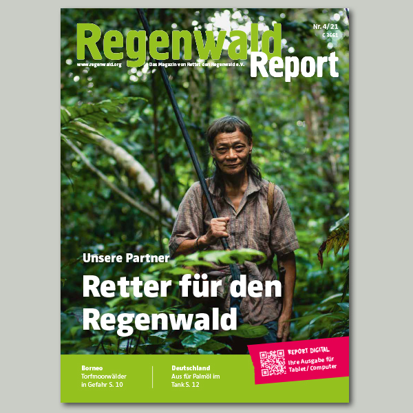 RettetRegenwald tweet picture