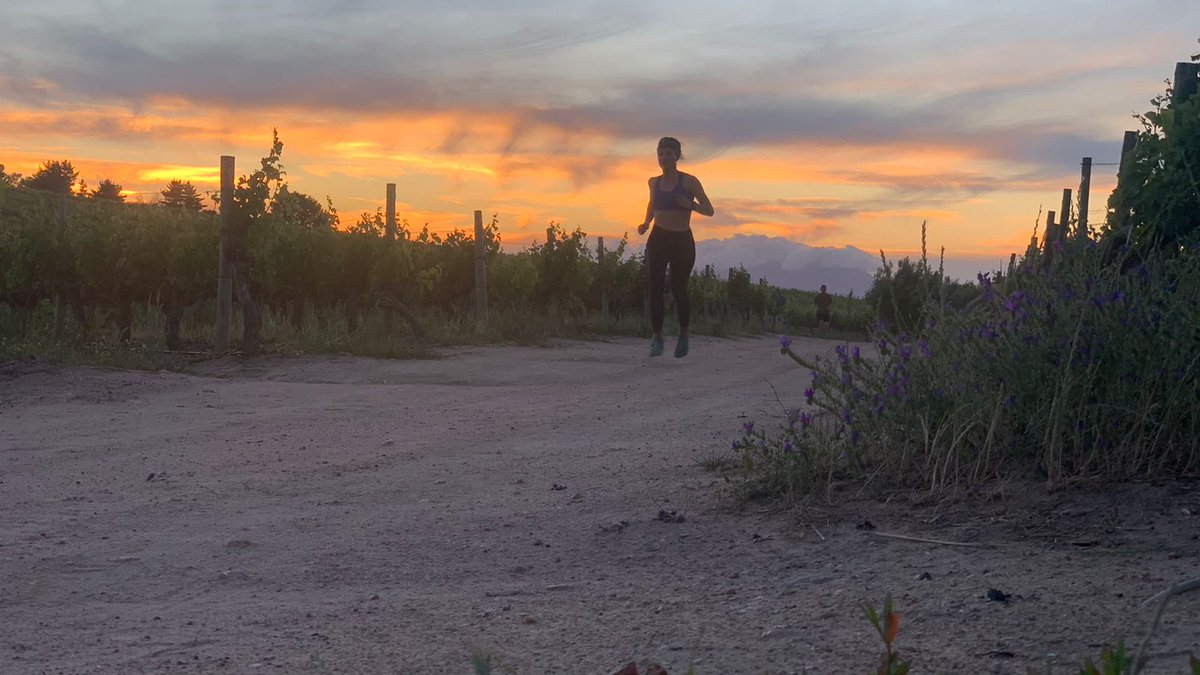 vuurtoring's tweet photo. What an incredible evening it was! Thank you @Jordan_Wines for hosting another @runventures event!

#Runventures #activeStellenbosch https://t.co/BjgxwZfEDC