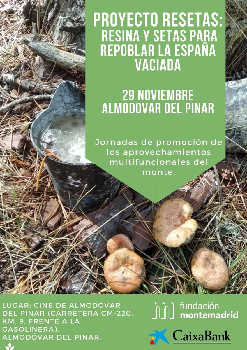 PResetas's tweet photo. Estaremos nuevamente en Almodóvar del Pinar (Cuenca), el próximo lunes 29 de noviembre, con las Jornadas de promoción de los aprovechamientos multifuncionales del monte. Os dejamos cartel de las jornadas y enlace por si queréis seguir las sesiones online: https://t.co/7OUsOvvNXI https://t.co/2XgFwJpmJx