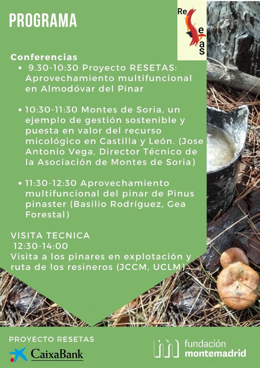 PResetas's tweet photo. Estaremos nuevamente en Almodóvar del Pinar (Cuenca), el próximo lunes 29 de noviembre, con las Jornadas de promoción de los aprovechamientos multifuncionales del monte. Os dejamos cartel de las jornadas y enlace por si queréis seguir las sesiones online: https://t.co/7OUsOvvNXI https://t.co/2XgFwJpmJx