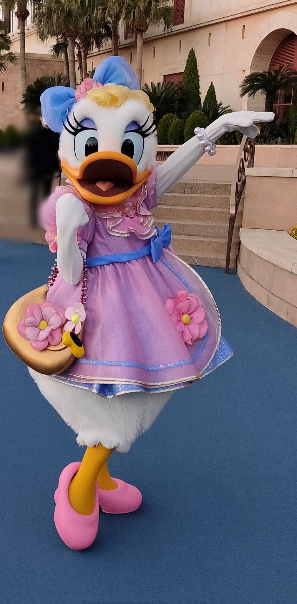 Tdr ディズニー ぷらん シー 今日のキャラグリ ピノキオ 逢えず ファミリー キャラクター キャラ グリーティング クリスマスの装い ゼペットじいさんはマフラー ギデオンとファウルフェローはヒイラギ Xmasの飾りを身につけてグリに登場 ディズニー